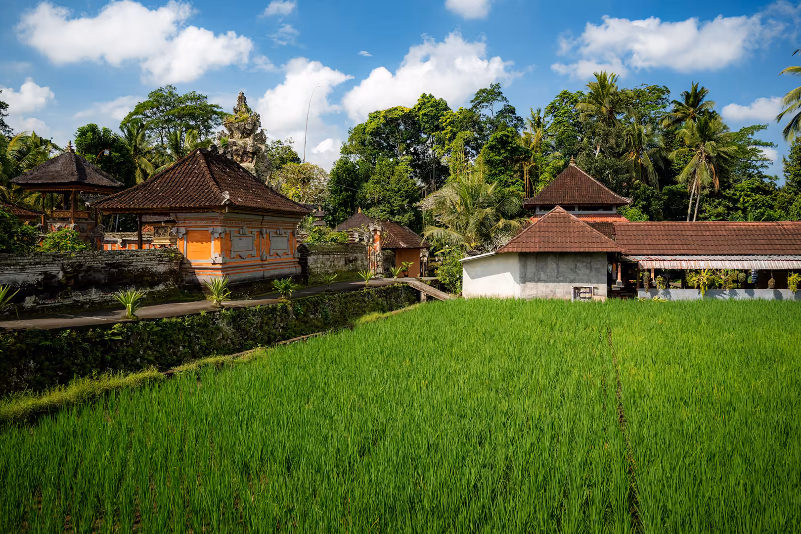 Rizière et bâtiments traditionnels à Bali